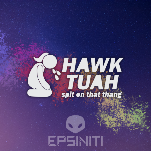 Hawk Tuah Decal